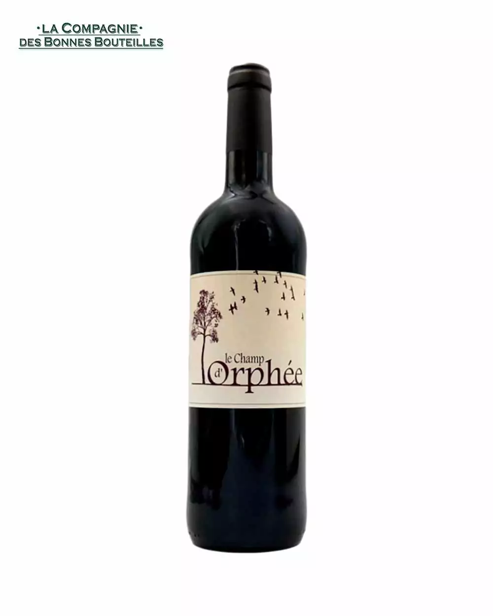 Vin Rouge IGP Côtes du Tarn Domaine Lucas Stéphane - Champ d’Orphée 2019 75 cl