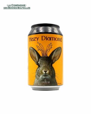 Bière La Débauche - Hazy Diamond Can 33cl