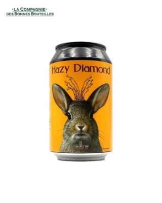 Bière La Débauche - Hazy Diamond Can 33cl