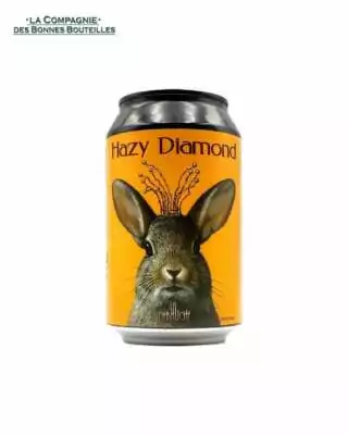 Bière La Débauche - Hazy Diamond Can 33cl