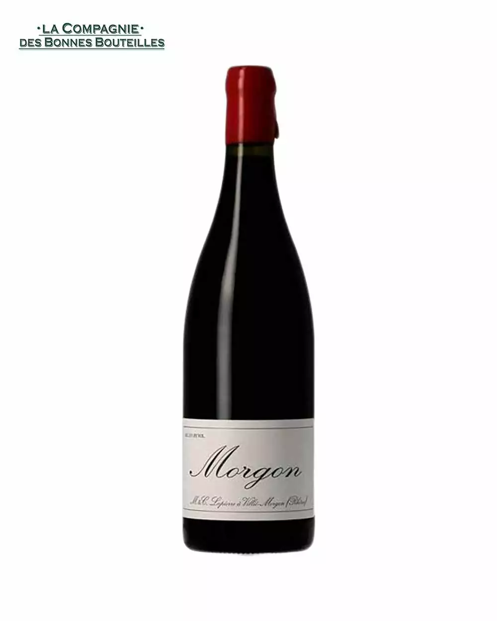 Vin Rouge Morgon - Marcel Lapierre - Tradition -2019- 75 cl
