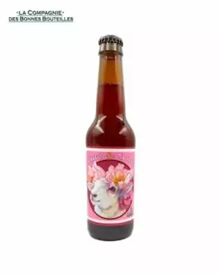 Bière La Débauche - Cute and Sober VP 33cl