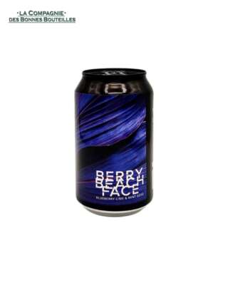 Bière IceBreaker Berry Beach Face - blueberry lime mint Gose - 33 cl Can