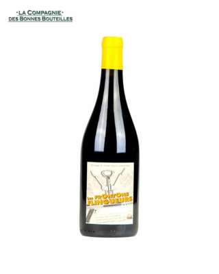 Vin rouge - AOC Morgon - Damien Coquelet - Côte de Py - 2019 75cl