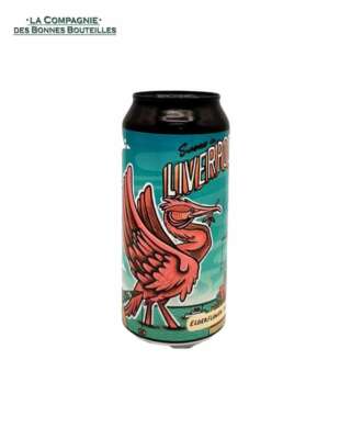 Bière Icebreaker Summer in Liverpool - Edition limitée CAN 44cl