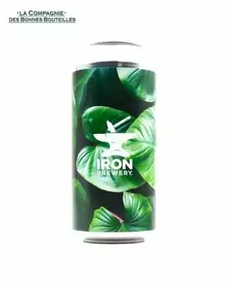 Bière Iron Simcoe ddh IPA 44 cl Can