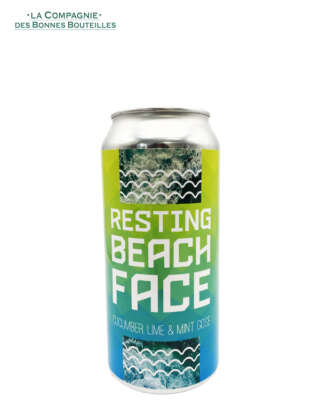 Bière IceBreaker Resting Beach Face Can 44 cl