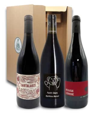 Coffret Vin - Monocepage SYRAH - 3 bouteilles