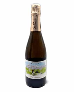 Vin Blanc Effervescent - Giachino - Don Giachino - VDF - 2020 - 75cl