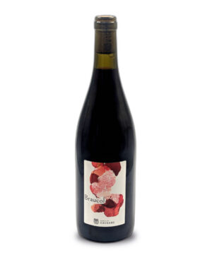 Vin Rouge - Domaine Gayrard - Gaillac - Braucol - 2023 - 75cl