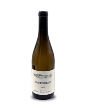 Vin Blanc - Domaine Buisson - Bourgogne blanc - 2024 - 75cl