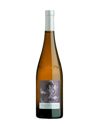 Vin Blanc - Domaine F&eacute;lines Jourdan - Picpoul de Pinet - F&eacute;lines - 2023 - 75cl