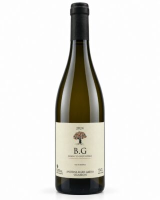 Vin Blanc - Antoine-Marie Arena - Vin de France - BG - 2024 - 75cl